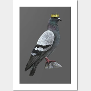 Rock dove Posters and Art